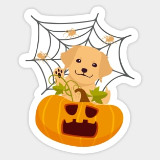 Golden Retriever Puppy in Spooky Halloween Pumpkin and Spider Web Sticker